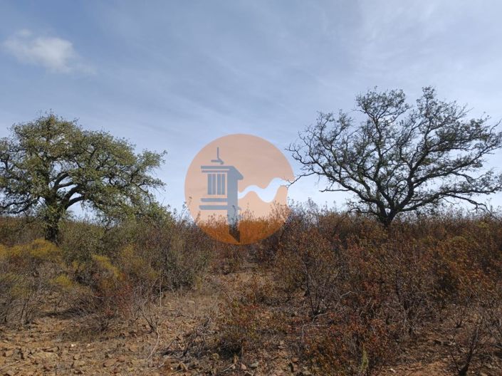 Image No.17-Plot for sale