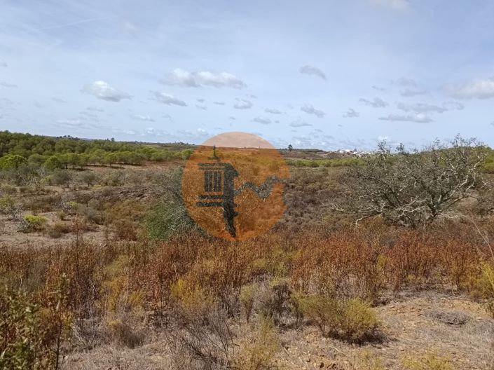 Image No.5-Plot for sale