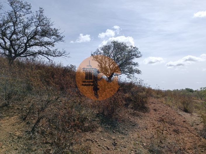 Image No.9-Plot for sale