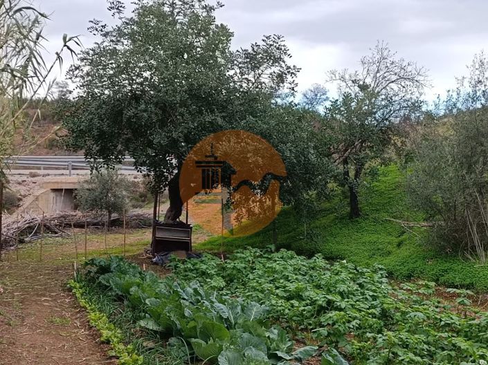 Image No.15-Terrain à vendre à Castro Marim