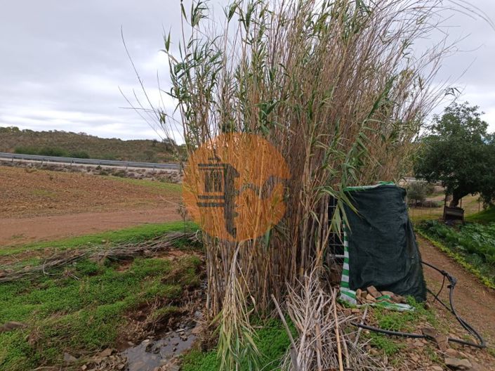 Image No.18-Terrain à vendre à Castro Marim