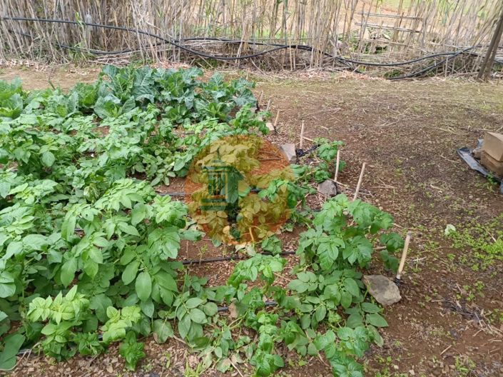 Image No.27-Terrain à vendre à Castro Marim