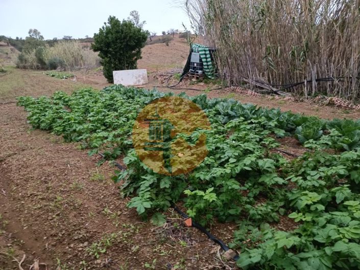 Image No.28-Terrain à vendre à Castro Marim
