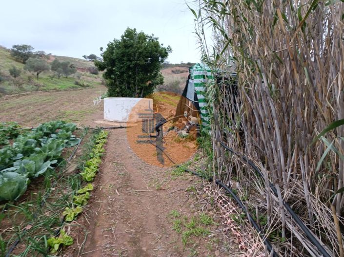 Image No.30-Terrain à vendre à Castro Marim