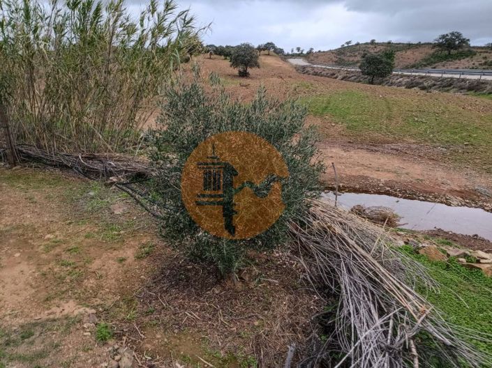 Image No.32-Terrain à vendre à Castro Marim