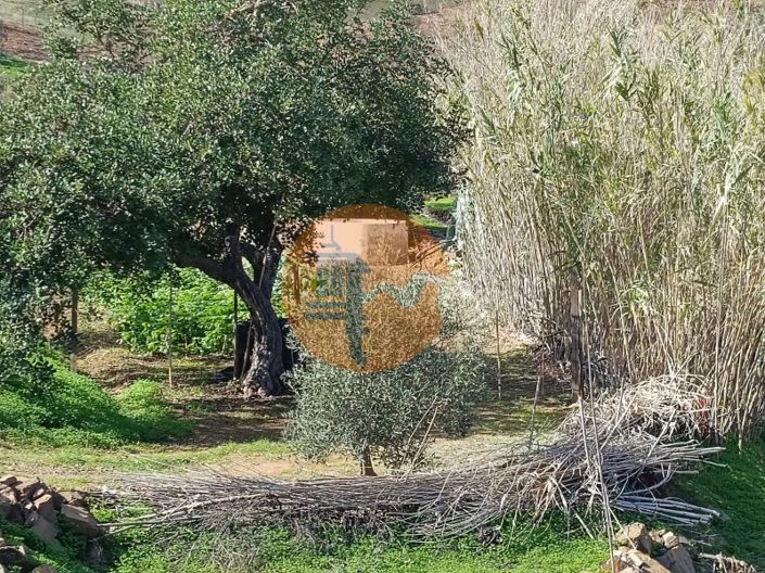 Image No.38-Terrain à vendre à Castro Marim