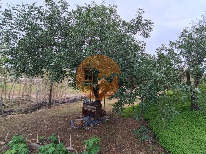 Image No.4-Terrain à vendre à Castro Marim