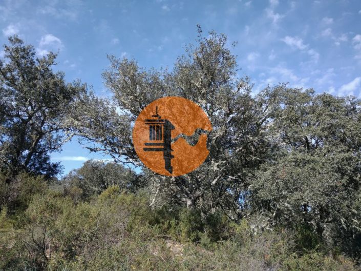 Image No.16-Plot for sale