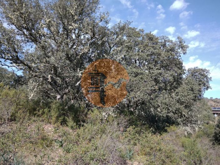 Image No.17-Plot for sale