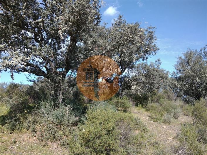 Image No.20-Plot for sale