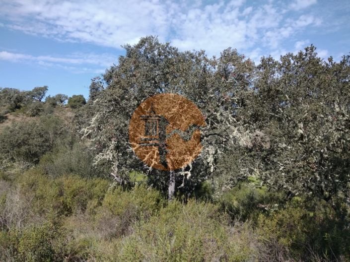 Image No.22-Plot for sale