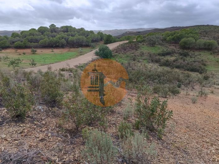 Image No.14-Plot for sale