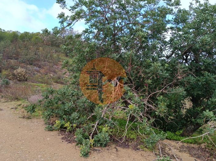 Image No.15-Plot for sale