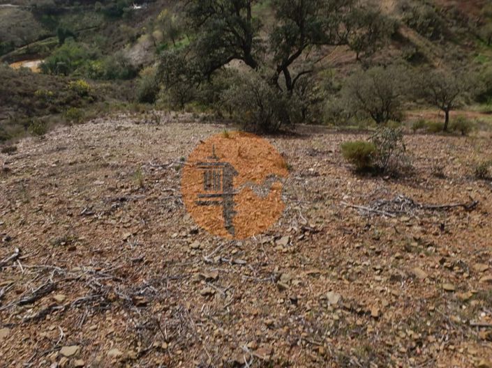 Image No.11-Plot for sale