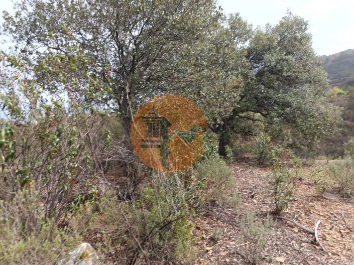 Image No.14-Plot for sale