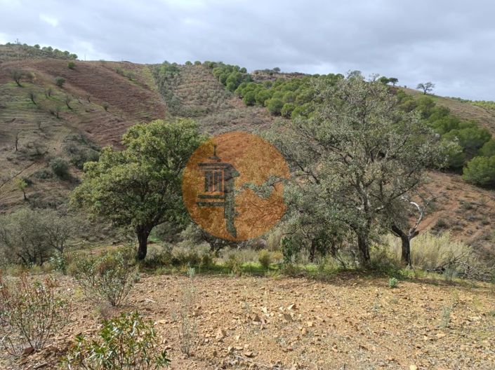 Image No.16-Plot for sale