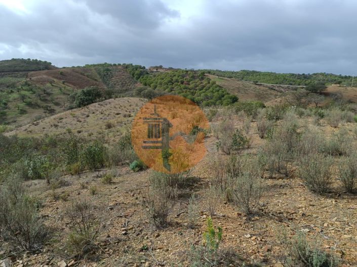 Image No.17-Plot for sale