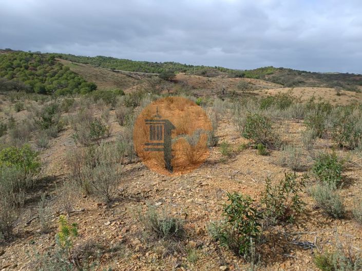 Image No.18-Plot for sale