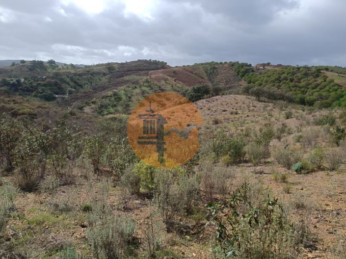 Image No.20-Plot for sale