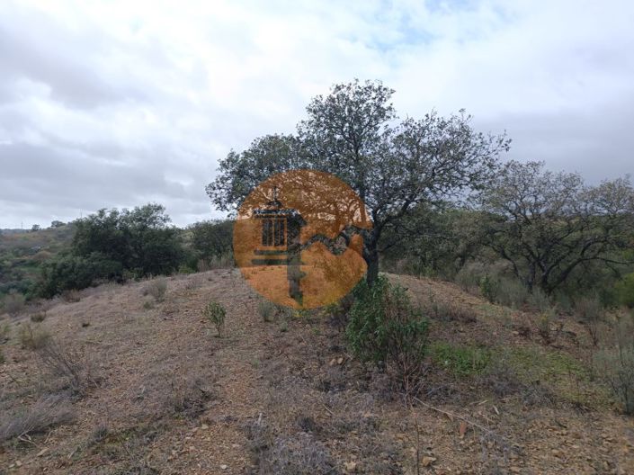 Image No.22-Plot for sale