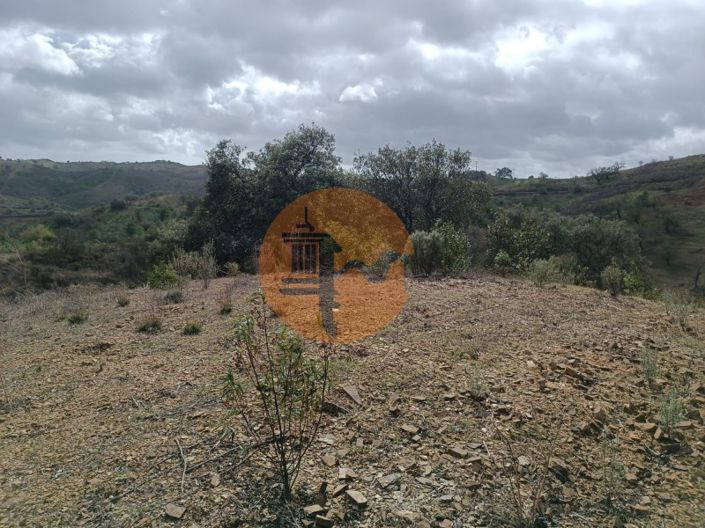 Image No.26-Plot for sale