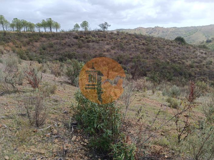 Image No.27-Plot for sale