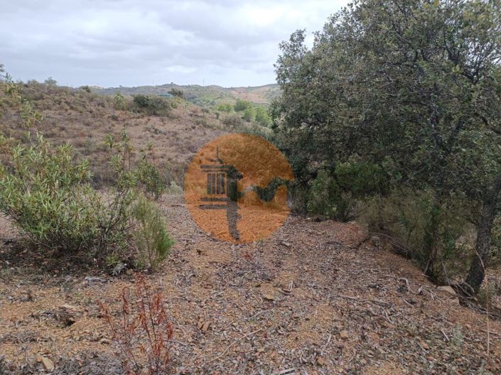 Image No.29-Plot for sale