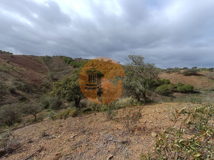 Image No.4-Plot for sale