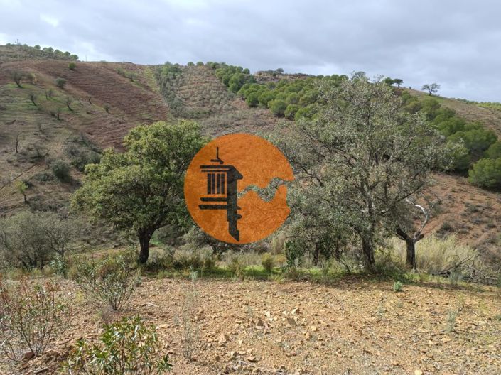 Image No.44-Plot for sale