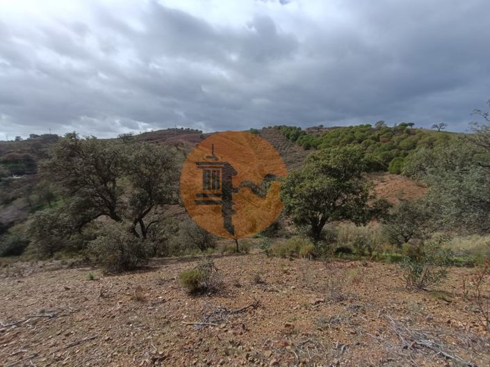 Image No.9-Plot for sale