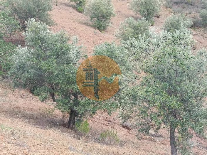Image No.1-Plot for sale