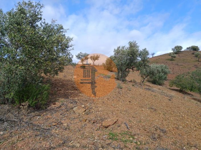 Image No.21-Plot for sale