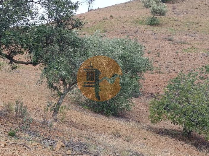 Image No.5-Plot for sale