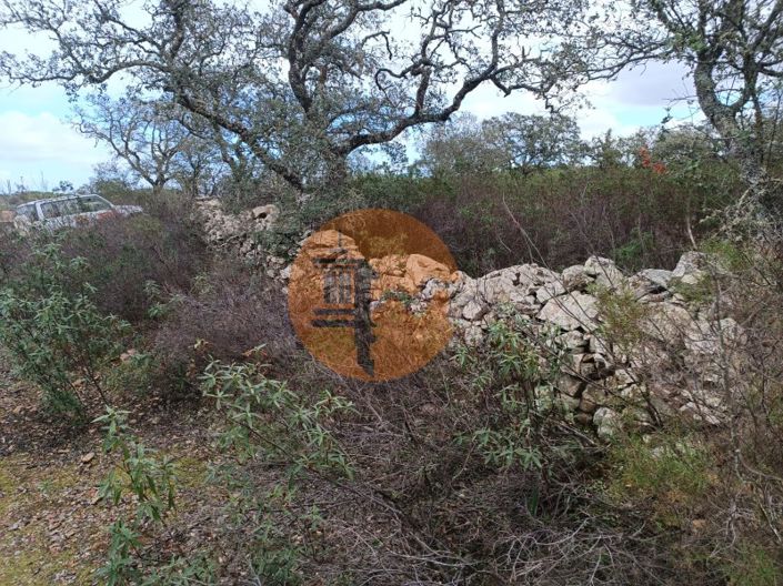 Image No.10-Plot for sale