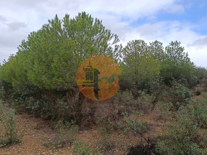 Image No.12-Plot for sale