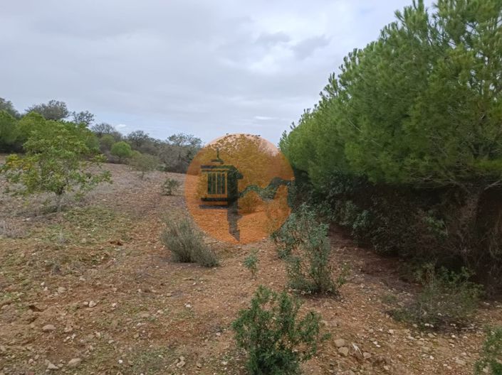 Image No.13-Plot for sale