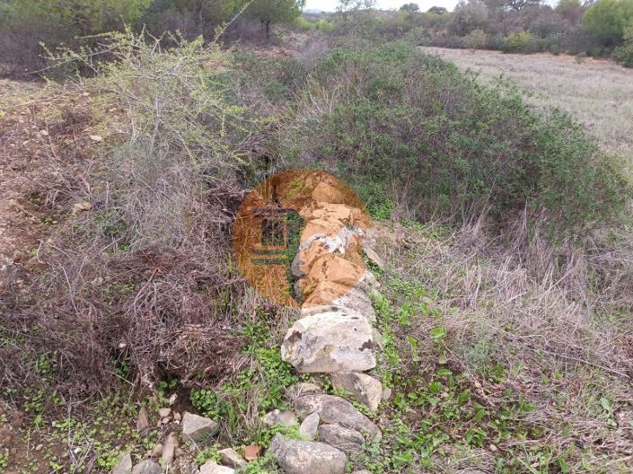 Image No.14-Plot for sale