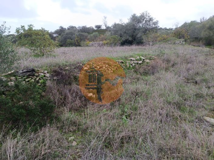 Image No.15-Plot for sale