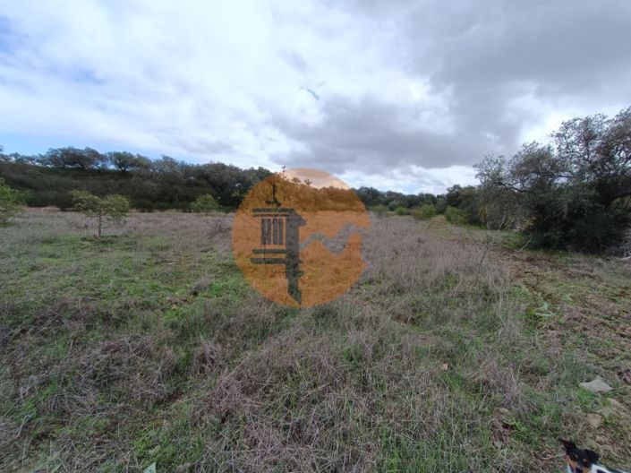 Image No.16-Plot for sale