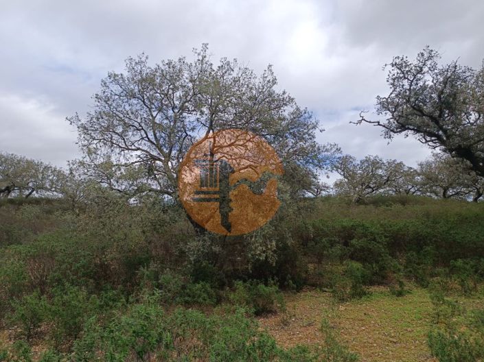 Image No.19-Plot for sale