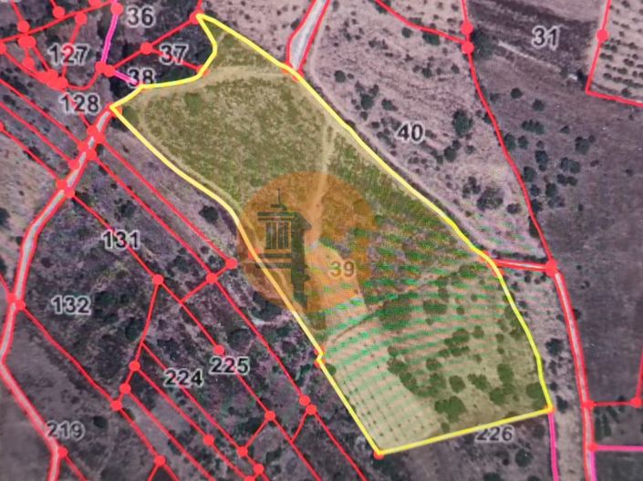 Image No.2-Plot for sale