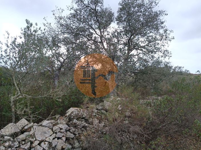 Image No.20-Plot for sale