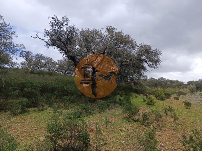 Image No.21-Plot for sale