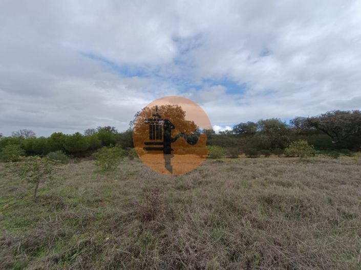 Image No.22-Plot for sale