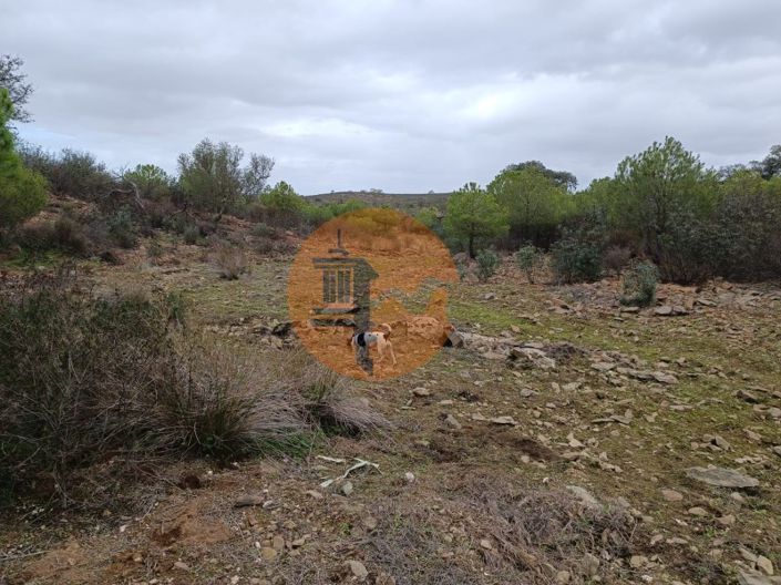 Image No.23-Plot for sale