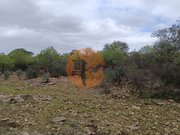 Image No.25-Plot for sale