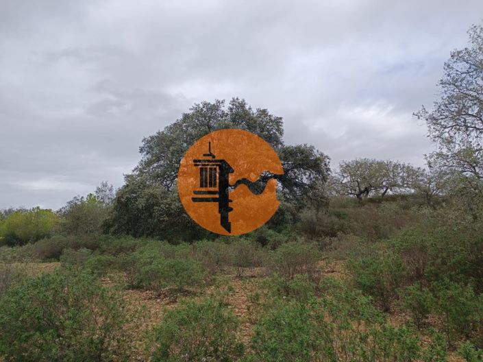 Image No.26-Plot for sale