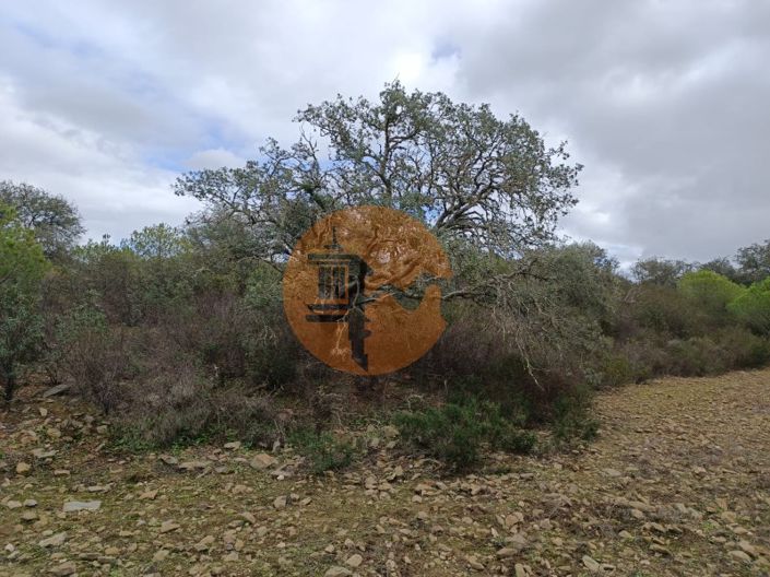 Image No.27-Plot for sale