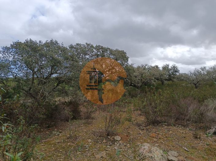 Image No.28-Plot for sale