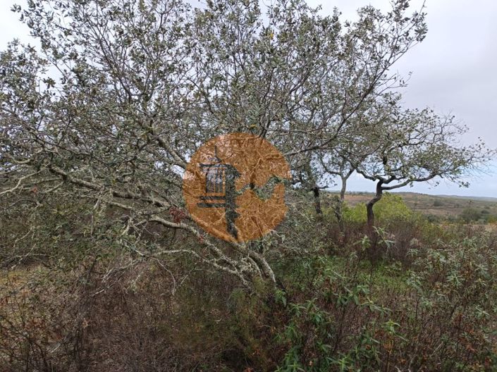 Image No.29-Plot for sale